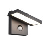 Lampa zewnętrzna ścienna HORTON 226369142 Trio