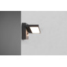 Lampa zewnętrzna ścienna HORTON 226369142 Trio