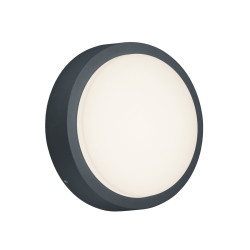 Lampa zewnętrzna ścienna BREG 227260142 Trio