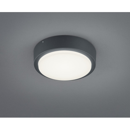 Lampa zewnętrzna ścienna BREG 227260142 Trio