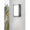 Lampa zewnętrzna ścienna INDUS 227360142 Trio