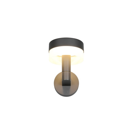 Lampa zewnętrzna ścienna MACKENZIE 230561142 Trio