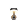 Lampa zewnętrzna ścienna MACKENZIE 230561142 Trio
