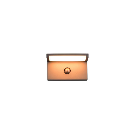 Lampa zewnętrzna ścienna RAVI 238669142 Trio
