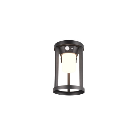 Lampa zewnętrzna ścienna CARMO 241069132 Trio