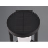 Lampa zewnętrzna ścienna CARMO 241069132 Trio