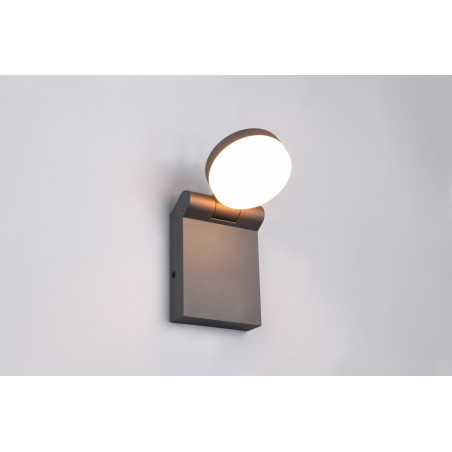 Lampa zewnętrzna ścienna ADOUR 245560142 Trio