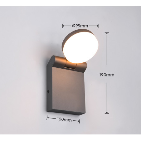 Lampa zewnętrzna ścienna ADOUR 245560142 Trio