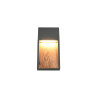 Lampa zewnętrzna ścienna SALMON 246960135 Trio