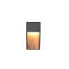 Lampa zewnętrzna ścienna SALMON 246960135 Trio