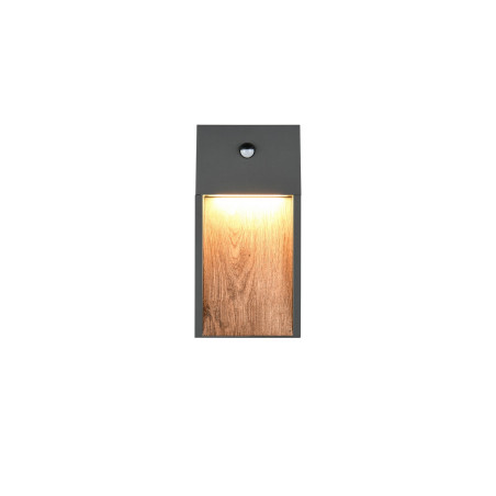 Lampa zewnętrzna ścienna SALMON - CZUJNIK RUCHU 246969135 Trio