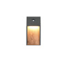 Lampa zewnętrzna ścienna SALMON - CZUJNIK RUCHU 246969135 Trio