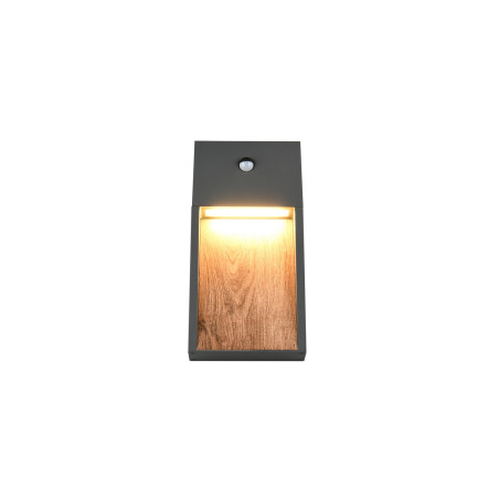Lampa zewnętrzna ścienna SALMON - CZUJNIK RUCHU 246969135 Trio