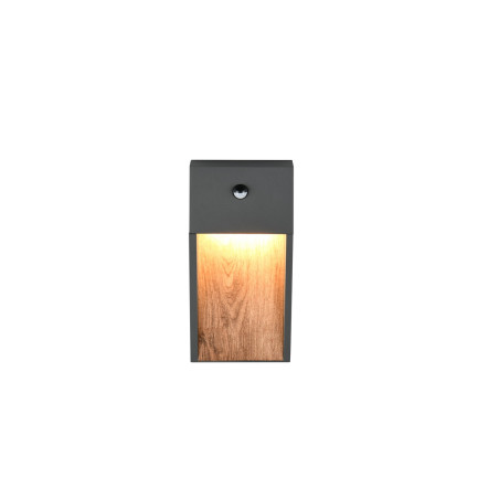 Lampa zewnętrzna ścienna SALMON - CZUJNIK RUCHU 246969135 Trio