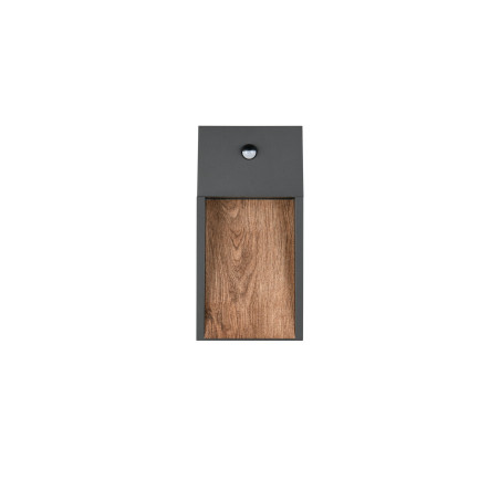 Lampa zewnętrzna ścienna SALMON - CZUJNIK RUCHU 246969135 Trio