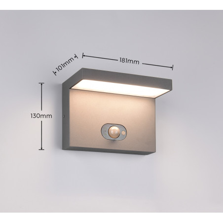 Lampa zewnętrzna ścienna BLYDE HYBRID 253569142 Trio