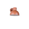 Lampa zewnętrzna ścienna ELBE 262360140 Trio