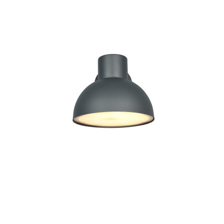 Lampa zewnętrzna ścienna ELBE 262360142 Trio