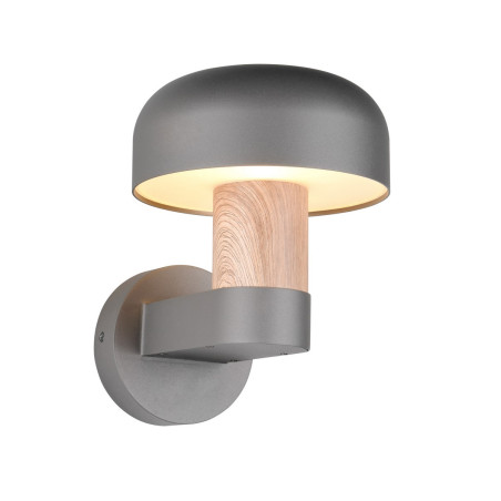 Lampa zewnętrzna ścienna FRASER 262560135 Trio