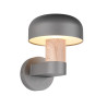 Lampa zewnętrzna ścienna FRASER 262560135 Trio