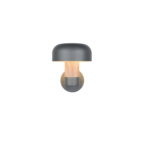 Lampa zewnętrzna ścienna FRASER 262560135 Trio
