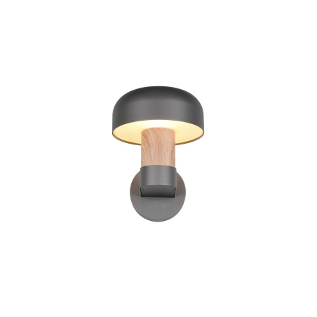 Lampa zewnętrzna ścienna FRASER 262560135 Trio