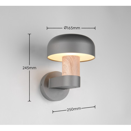 Lampa zewnętrzna ścienna FRASER 262560135 Trio