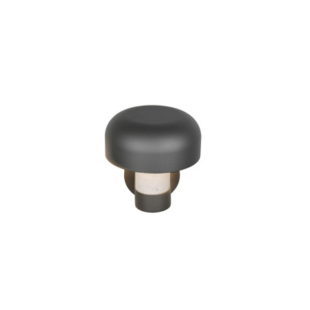 Lampa zewnętrzna ścienna FRASER 262560178 Trio