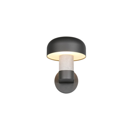 Lampa zewnętrzna ścienna FRASER 262560178 Trio