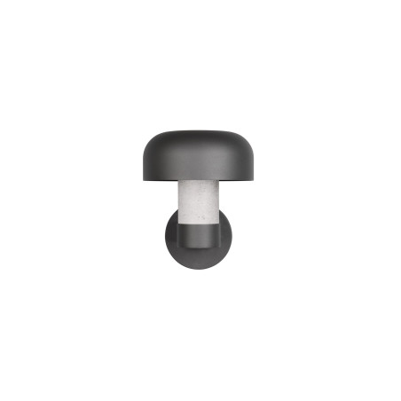 Lampa zewnętrzna ścienna FRASER 262560178 Trio