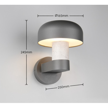 Lampa zewnętrzna ścienna FRASER 262560178 Trio
