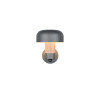 Lampa zewnętrzna ścienna FRASER 262569135 Trio