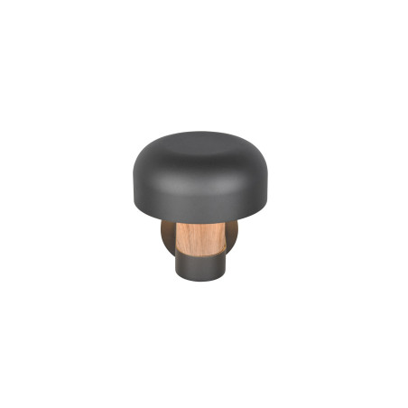 Lampa zewnętrzna ścienna FRASER 262569135 Trio