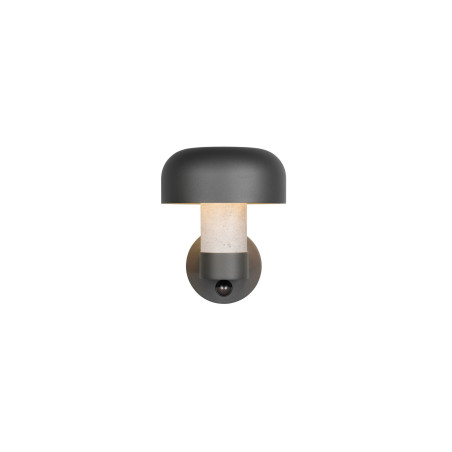 Lampa zewnętrzna ścienna FRASER 262569178 Trio