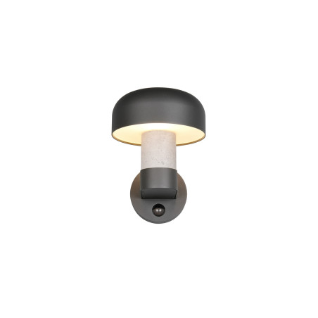 Lampa zewnętrzna ścienna FRASER 262569178 Trio