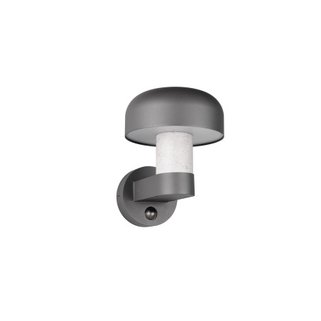 Lampa zewnętrzna ścienna FRASER 262569178 Trio