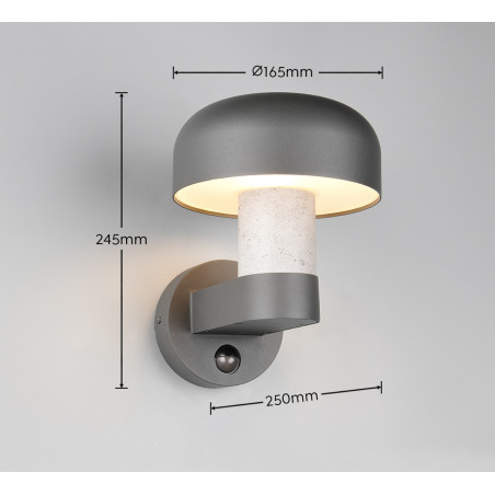 Lampa zewnętrzna ścienna FRASER 262569178 Trio