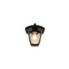 Lampa zewnętrzna ścienna VENTA 263260132 Trio