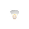 Lampa zewnętrzna ścienna VENTA 263260331 Trio