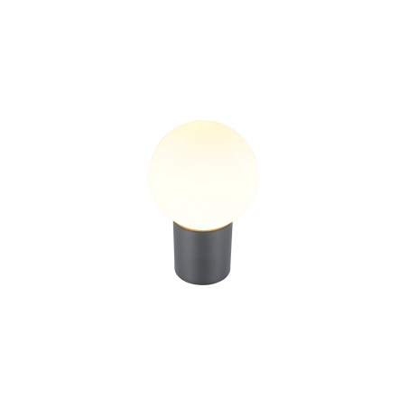 Lampa zewnętrzna ścienna MURES 269860142 Trio