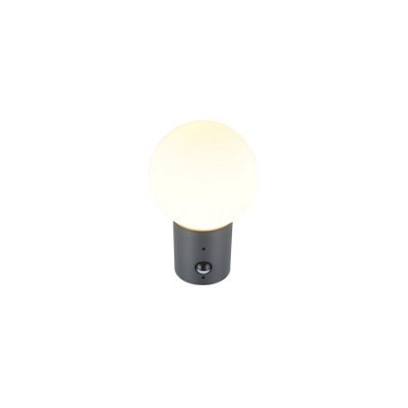 Lampa zewnętrzna ścienna MURES 269869142 Trio