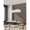 Lampa wisząca BARON 309800431 Trio