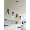 Lampa wisząca ROBIN 310600132 Trio