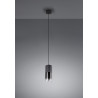 Lampa wisząca ROBIN 310600132 Trio