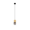 Lampa wisząca ROBIN 310600154 Trio