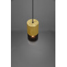 Lampa wisząca ROBIN 310600154 Trio