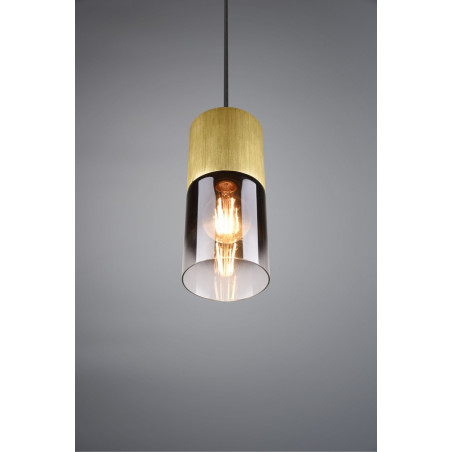 Lampa wisząca ROBIN 310600154 Trio