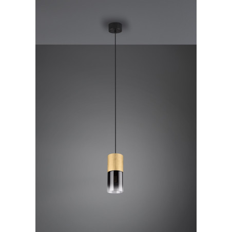 Lampa wisząca ROBIN 310600154 Trio