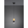 Lampa wisząca ROBIN 310600154 Trio