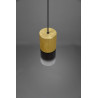 Lampa wisząca ROBIN 310600154 Trio